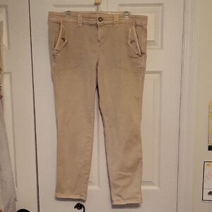 Torrid Beige  Pants